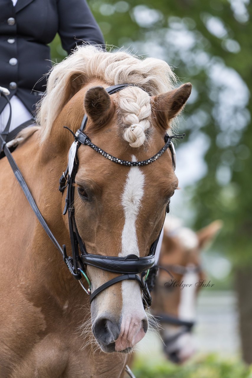 Bild 59 - Pony Akademie Turnier